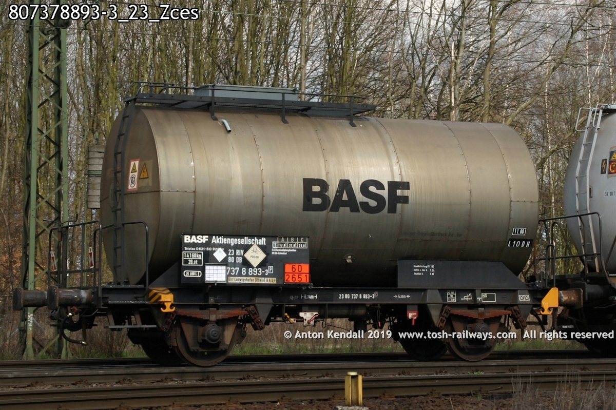 807378893-3_23_Zces.jpg